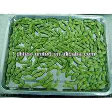 frozen green soybean